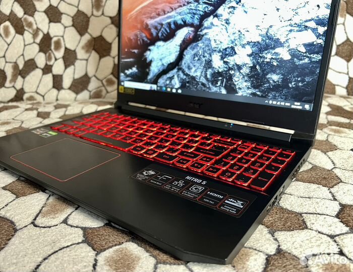 Acer Nitro 5/Ryzen 5 4600H/GTX1650Ti