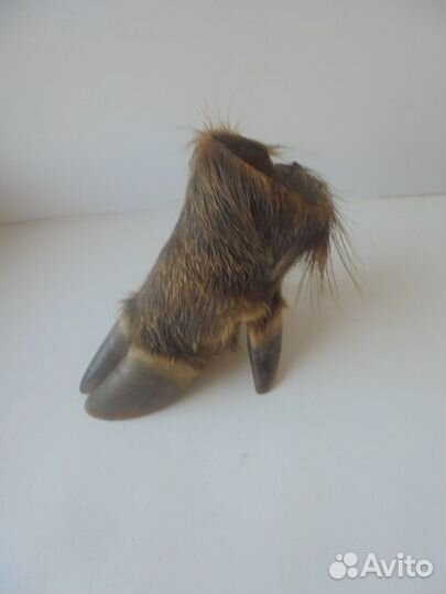 Охотничий трофей: пепельница из копыта кабана