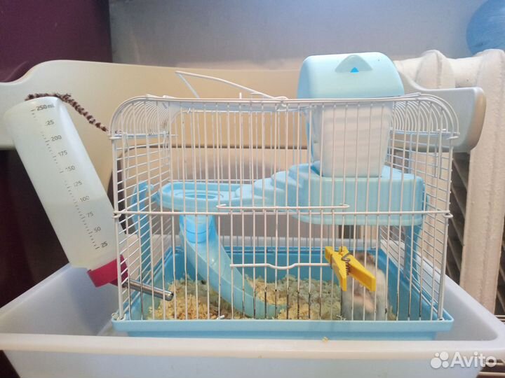 Клетка для хомяков джунгариков