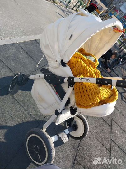 Коляска 2 в 1 adamex