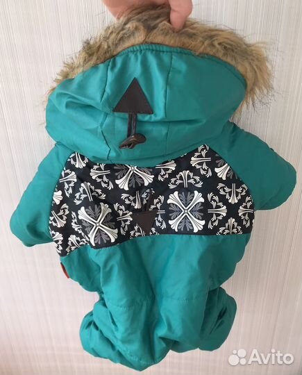 Одежда для собак