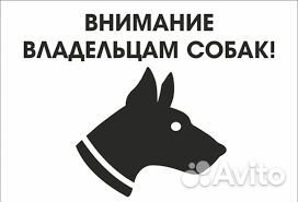 Живой отлов собак, кошек