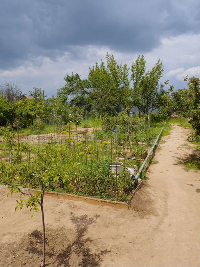 Дача 28 м² на участке 7 сот.