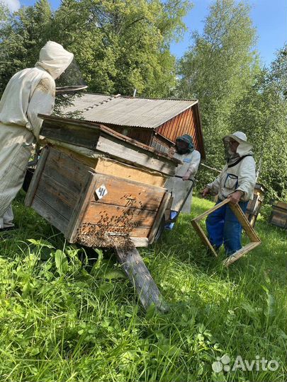 Липовый, Натуральный Мед