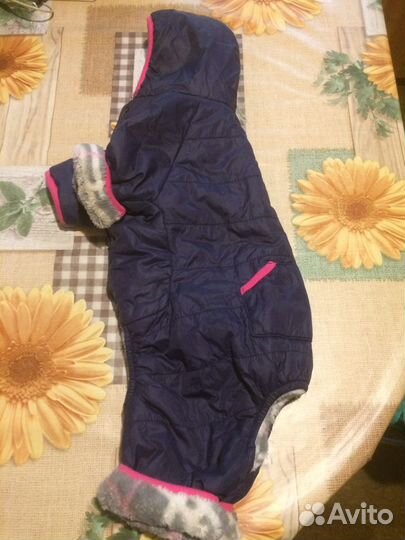 Зимний комбинезон для собаки