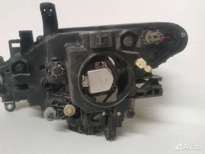 Фара правая Nissan Murano Z 51