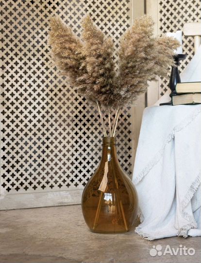 Пампасная трава камыш сухоцветы