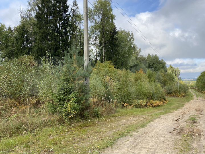 Участок 18,7 сот. (ИЖС)