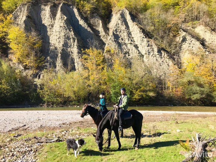 Конные прогулки, верховая езда, прокат лошадей