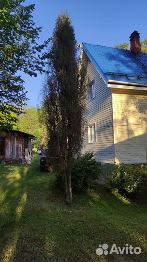 Можжевельник на спил