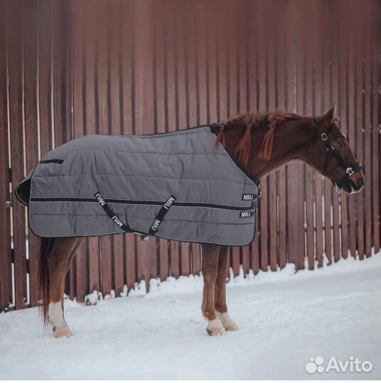 Попона для лошади 155