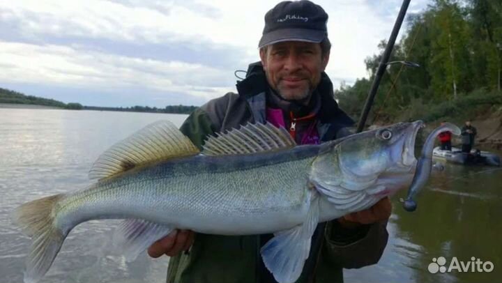 Рыбалка, егерь., гид, отдых, щука, судак