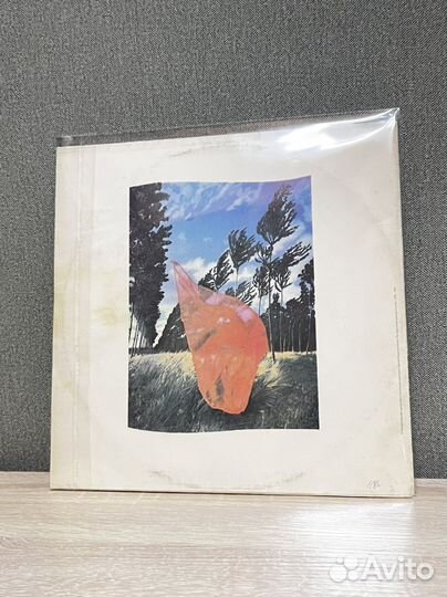 Pink floyd пластинка