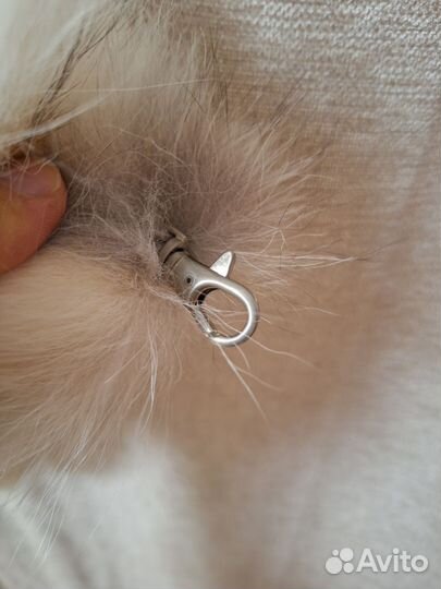 Лисий хвост