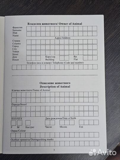 Паспорт для кошек породы сфинкс