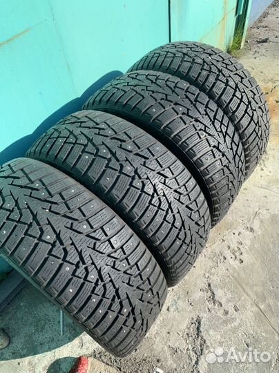 Maxxis ArcticTrekker NS3 205/50 R17 91T