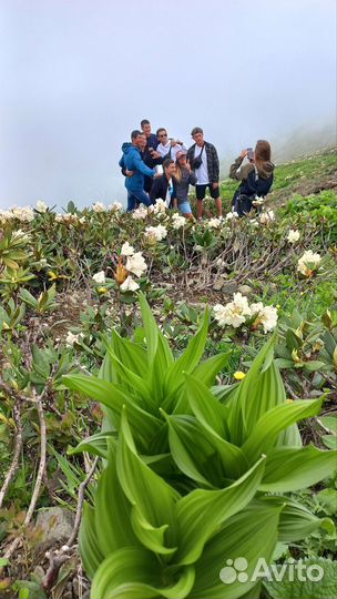 Экскурсия на Красную поляну / Закат в горах