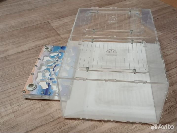 Муравьиная ферма