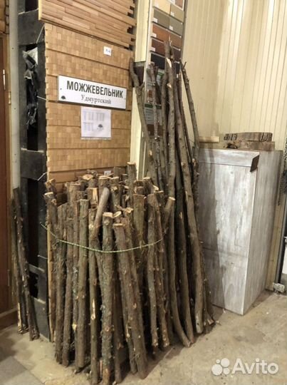 Можжевельник марийский(Кавказский) удмуртский 3-10