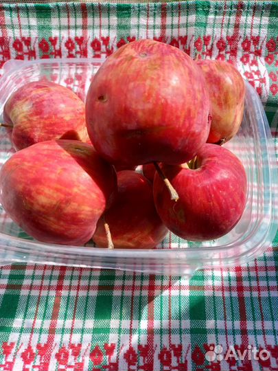 Яблоки