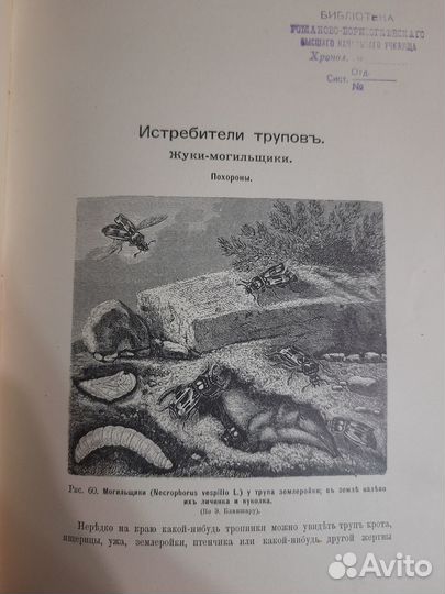 Инстинкт и нравы насекомых Фабр 1905 год