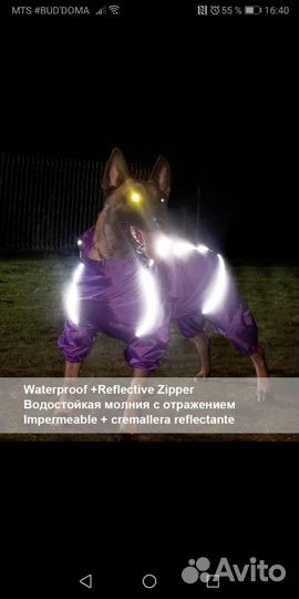 Дождевик-комбинезон