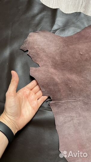 Шкура овчина