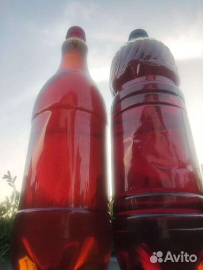 Алтайский целебный мёд