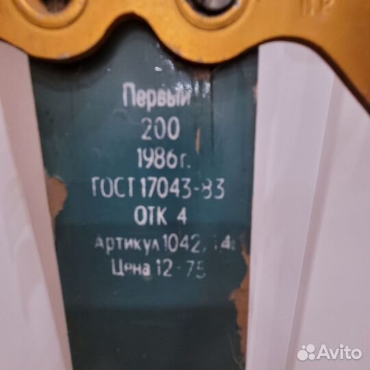 Беговые лыжи Быстрица