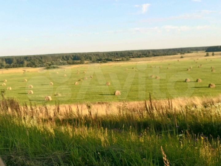 Участок 3,5 га (СНТ, ДНП)