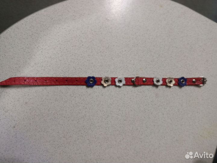 Ошейник для собак