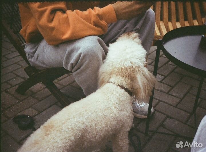 Плёночный фотоаппарат rekam