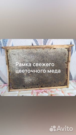 Свежий цветочный мед