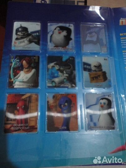 Пингвины Мадагаскара