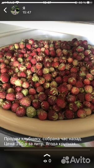 Крупная земляника