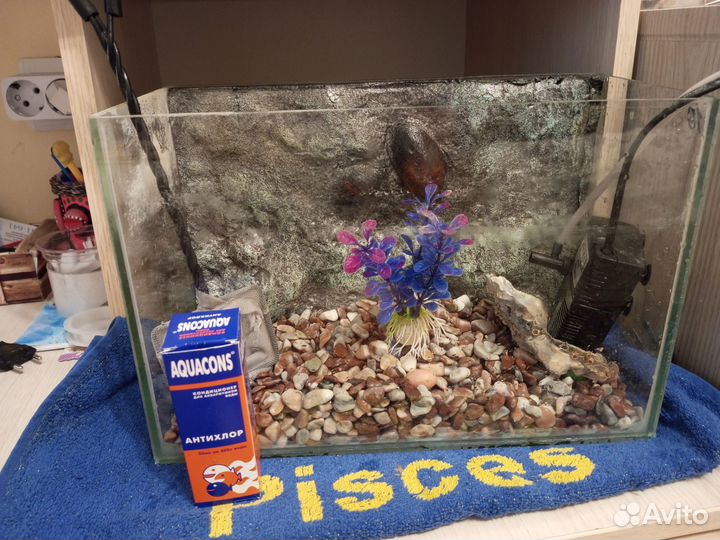 Аквариум
