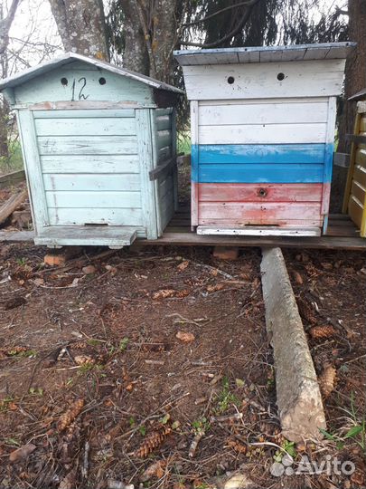Продаются пчелиные улья бу