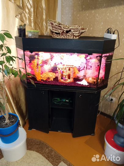 Аквариум с тумбой
