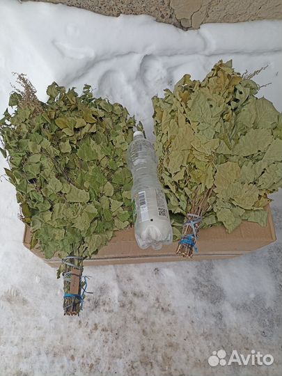 Веники для бани сауны парные