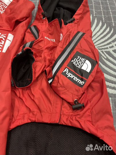 Комбинезон/дождевик для собаки