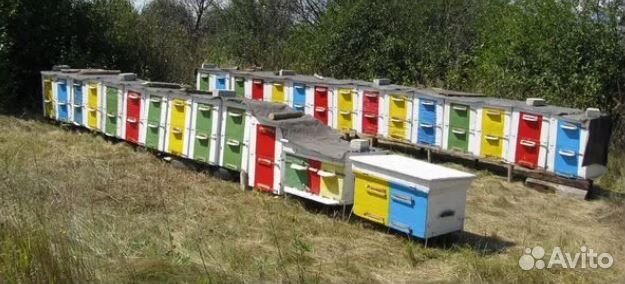 Продам ульи для пчёл