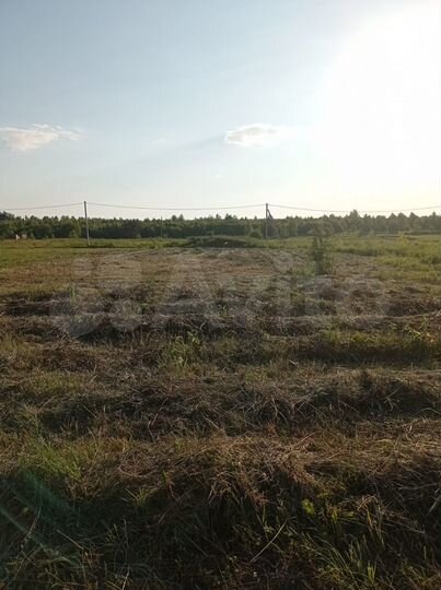 Участок 10 сот. (ИЖС)