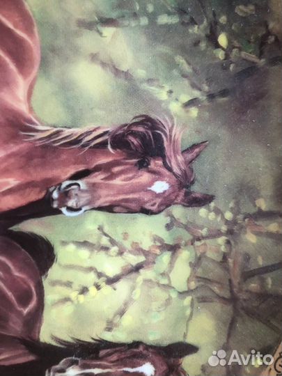 Тортовница с лопаткой тарелка для торта Lefard