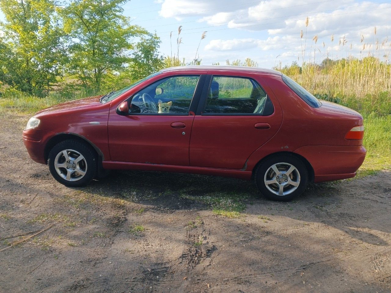 FIAT Albea: фото владельца