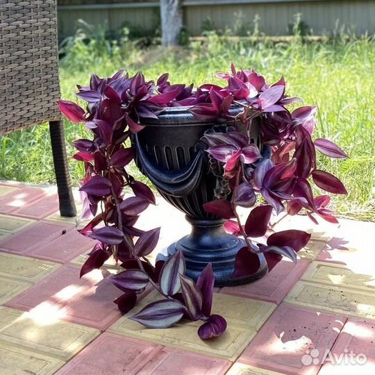 Горшок для цветов, большой горшок для цветов