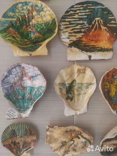 Морские ракушки раковины