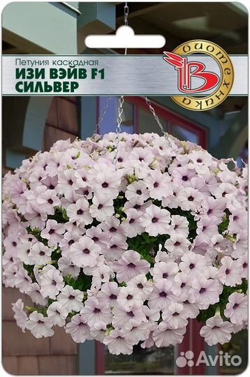 Ампельные петунии
