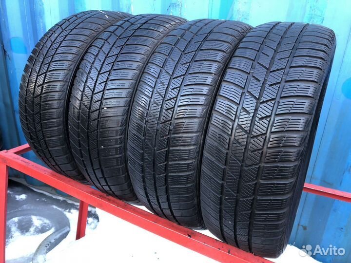 Barum Polaris 5 205/55 R16 91H