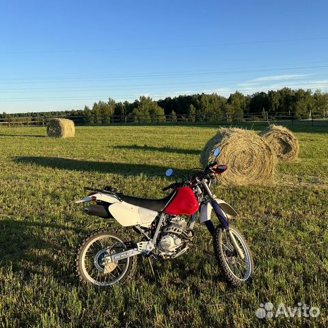 Honda XR250R