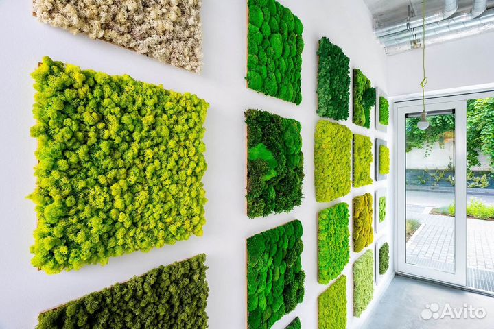 Фитостены из мха стабилизированного. Фитокартины